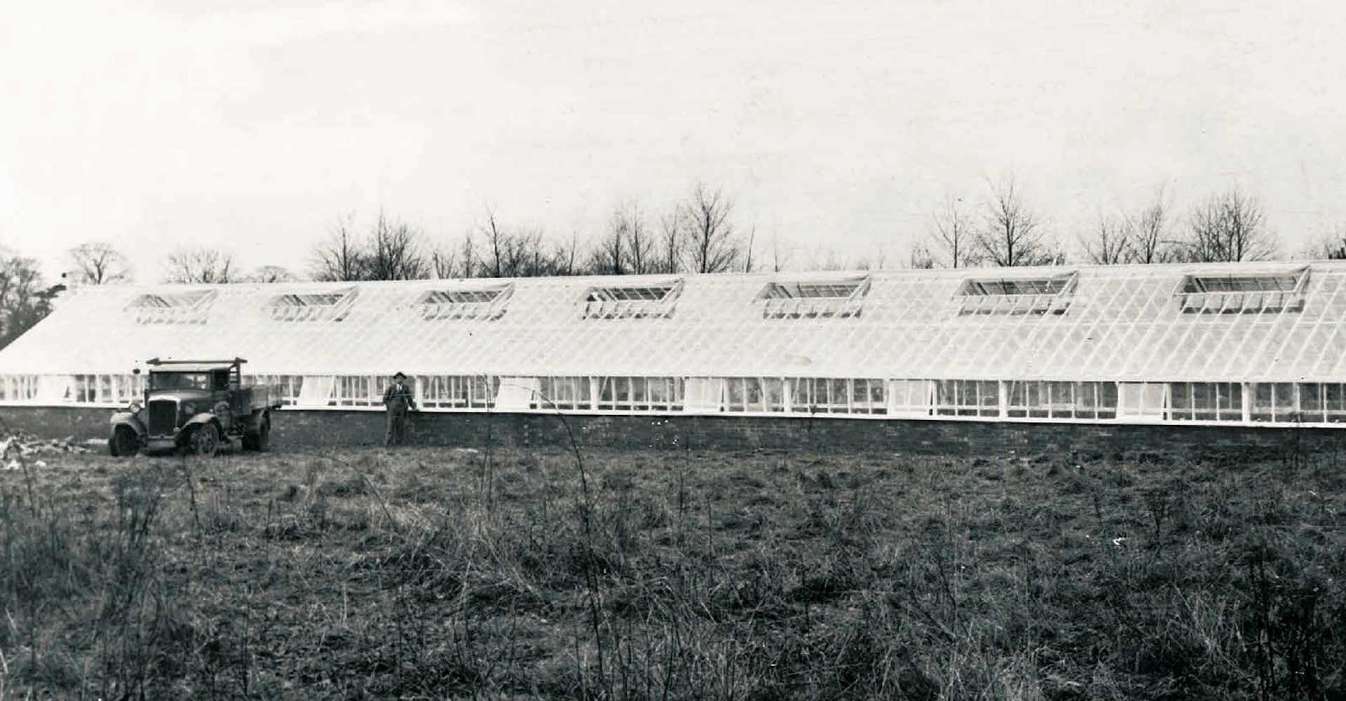 Annamine Nurseries in York in the 1930s – man standing next to a large timber framed conservatory with a vintage motor vehicle in the foreground